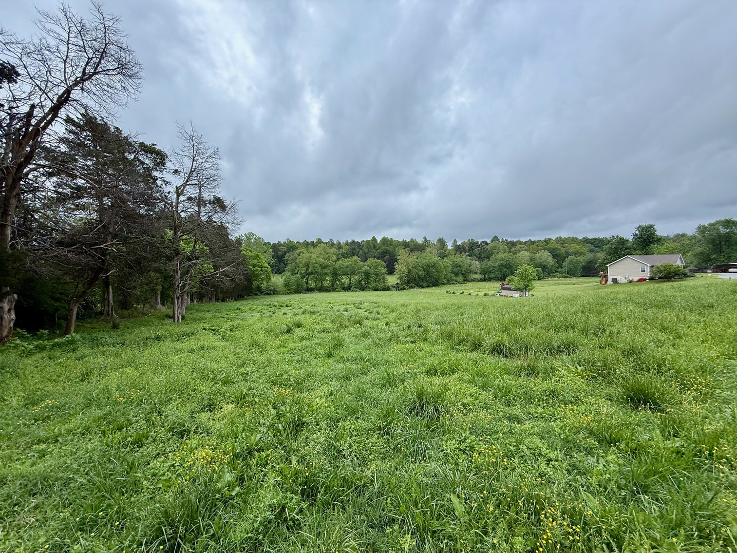 Image for 6.32 +/- Acre Land Parcel w/Road Frontage & Partial Fencing in Orange County, VA--SELLING to the HIGHEST BIDDER!!