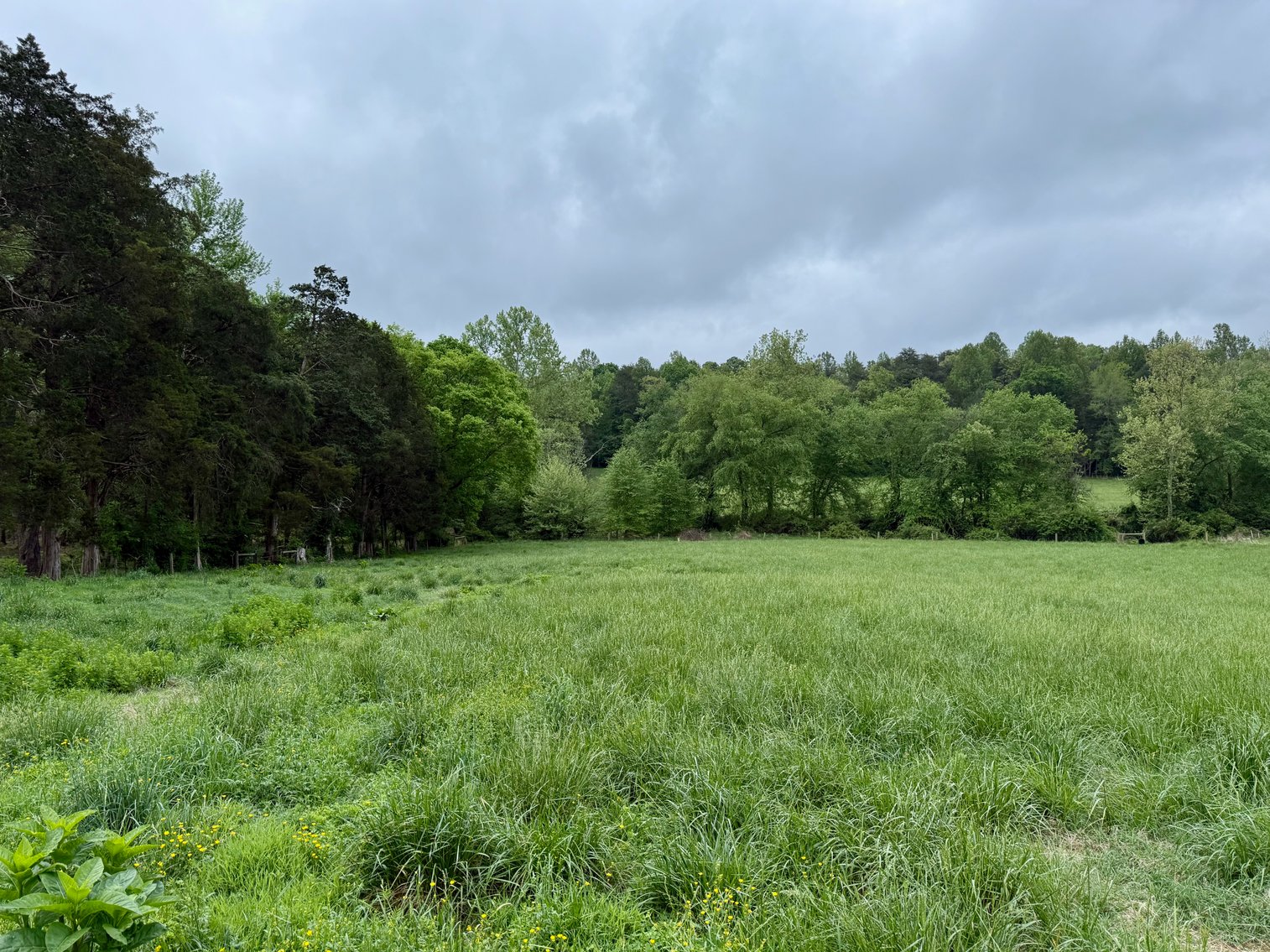 Image for 6.32 +/- Acre Land Parcel w/Road Frontage & Partial Fencing in Orange County, VA--SELLING to the HIGHEST BIDDER!!