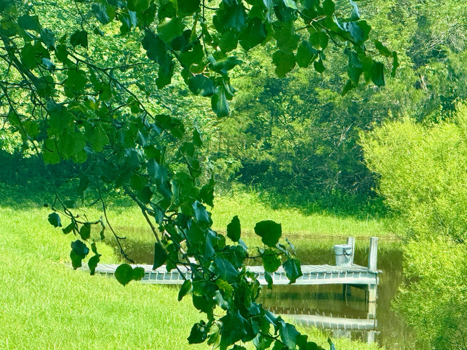 Image for 3 BR/3.5 BA Home w/Barn, Shop Building & Large Pond on 17.88 +/- Acres in Madison County, VA--SELLING to the HIGHEST BIDDER!!