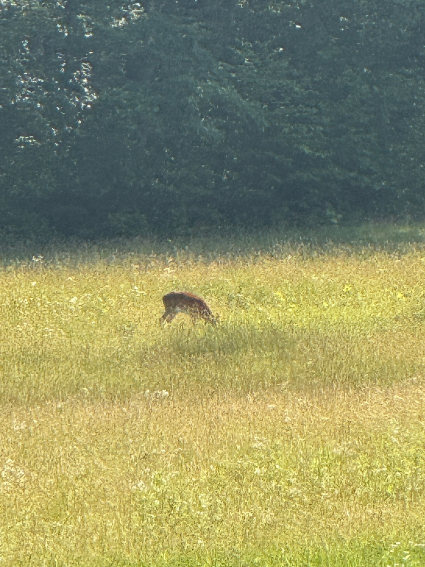 Image for 3 BR/3.5 BA Home w/Barn, Shop Building & Large Pond on 17.88 +/- Acres in Madison County, VA--SELLING to the HIGHEST BIDDER!!