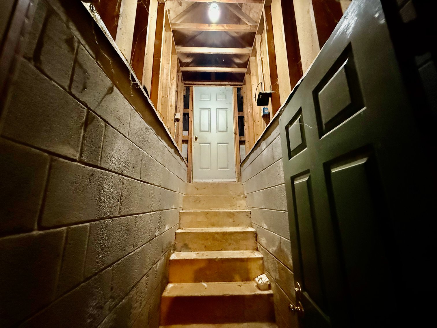 Image for 3 BR/3.5 BA Home w/Barn, Shop Building & Large Pond on 17.88 +/- Acres in Madison County, VA--SELLING to the HIGHEST BIDDER!!