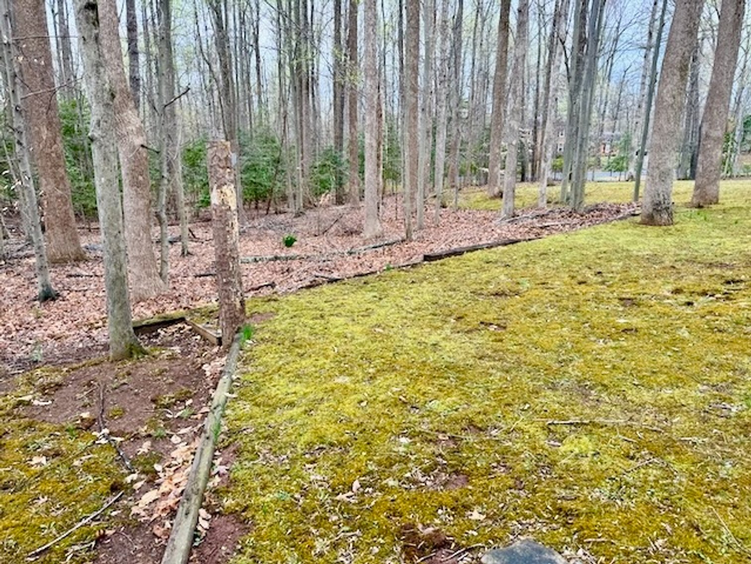 Image for 4 BR/3 BA Home on 2.4 +/- Wooded Acres in the Woodbine Forest Neighborhood of Prince William County, VA