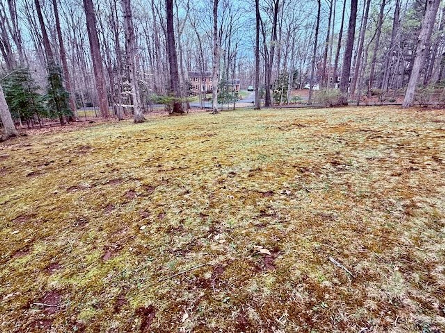 Image for 4 BR/3 BA Home on 2.4 +/- Wooded Acres in the Woodbine Forest Neighborhood of Prince William County, VA
