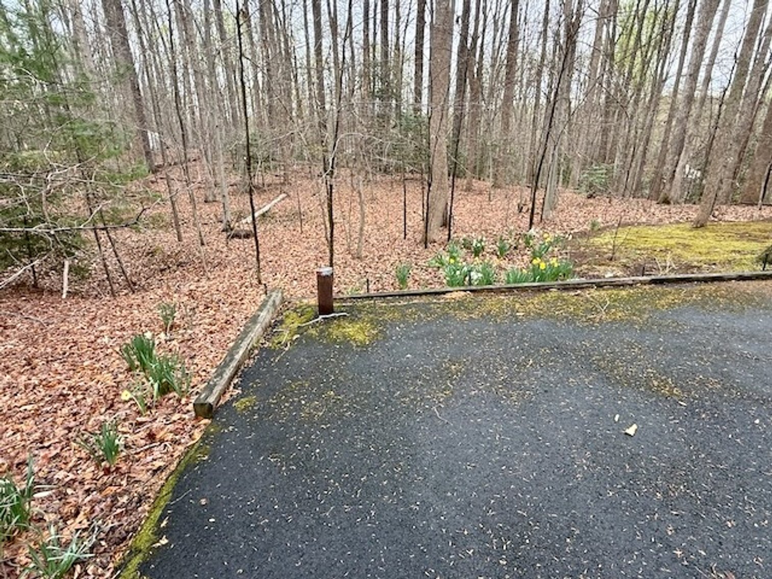 Image for 4 BR/3 BA Home on 2.4 +/- Wooded Acres in the Woodbine Forest Neighborhood of Prince William County, VA