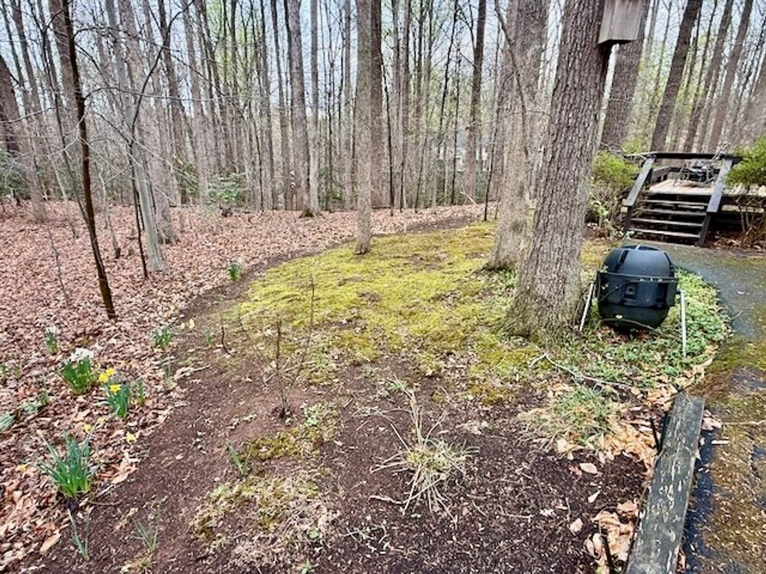 Image for 4 BR/3 BA Home on 2.4 +/- Wooded Acres in the Woodbine Forest Neighborhood of Prince William County, VA