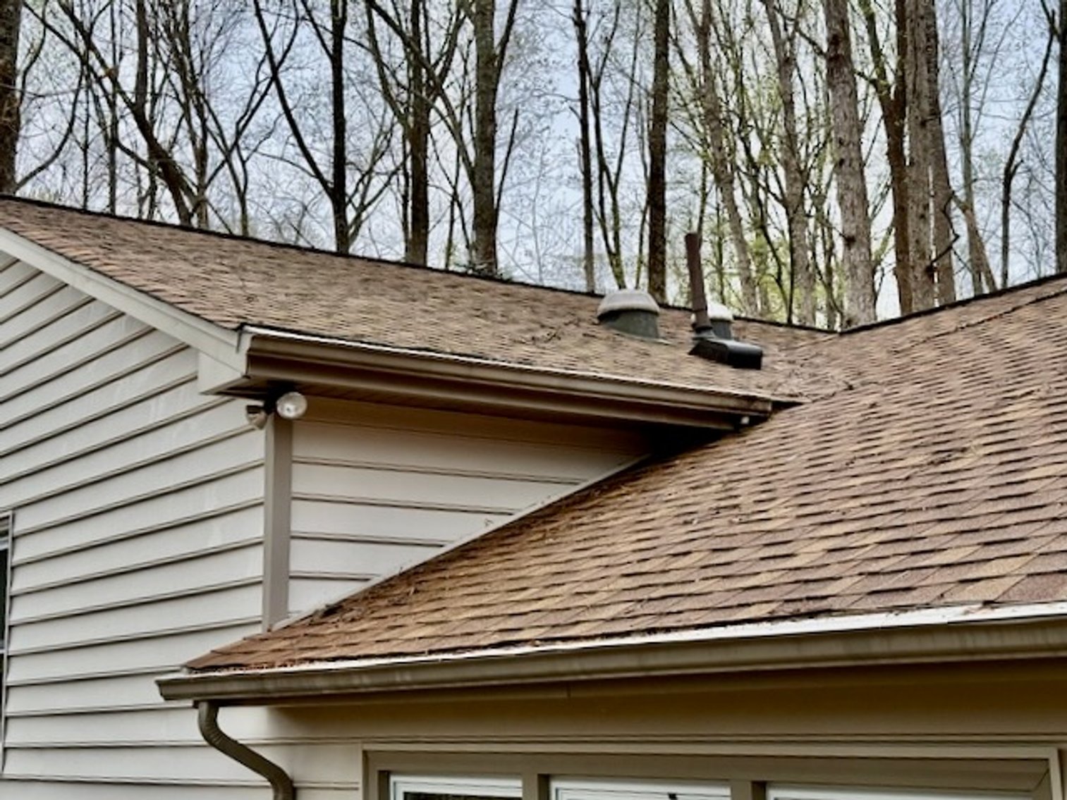 Image for 4 BR/3 BA Home on 2.4 +/- Wooded Acres in the Woodbine Forest Neighborhood of Prince William County, VA