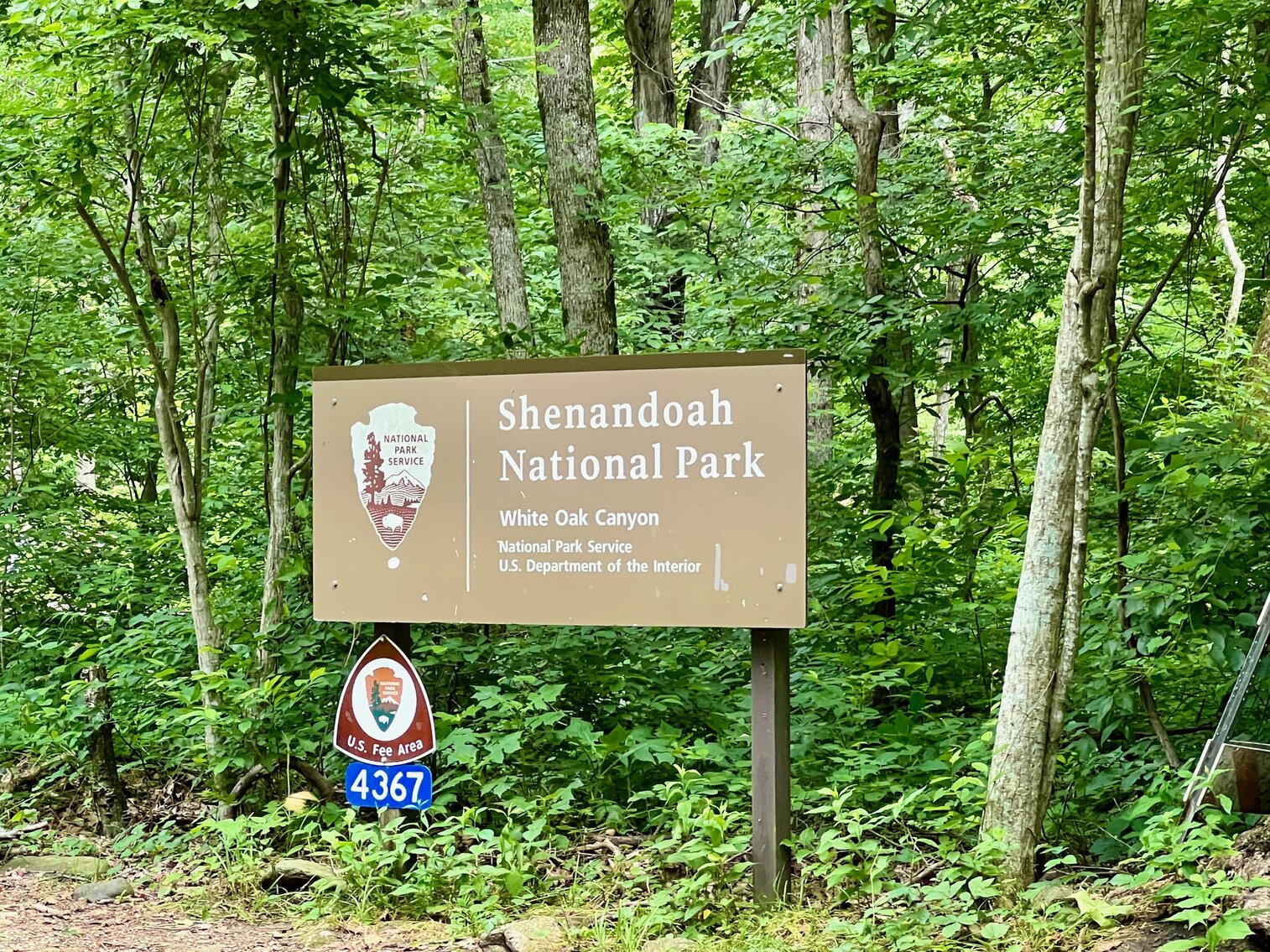 Image for Recently Renovated 3 BR/2 BA Home on 3 +/- Acres in Close Proximity to Shenandoah National Park, Old Rag Mountain, Graves Mountain Lodge & More!!  ONLINE ONLY BIDDING!!