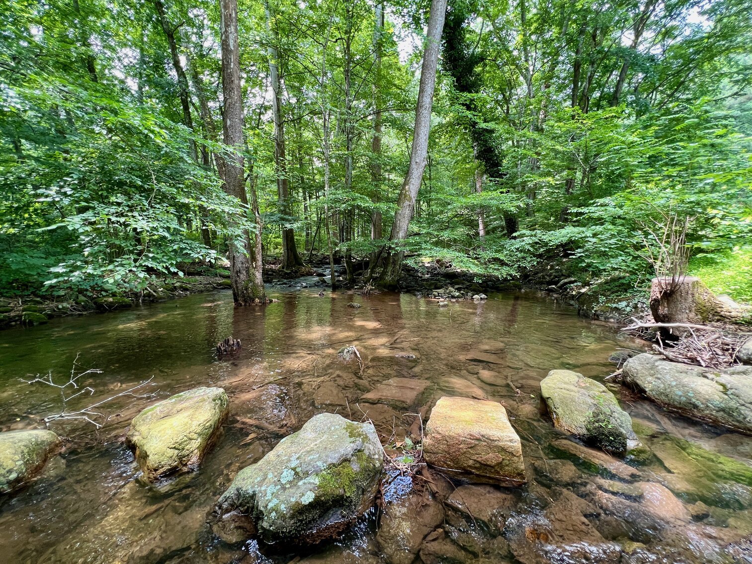 Image for Recently Renovated 3 BR/2 BA Home on 3 +/- Acres in Close Proximity to Shenandoah National Park, Old Rag Mountain, Graves Mountain Lodge & More!!  ONLINE ONLY BIDDING!!