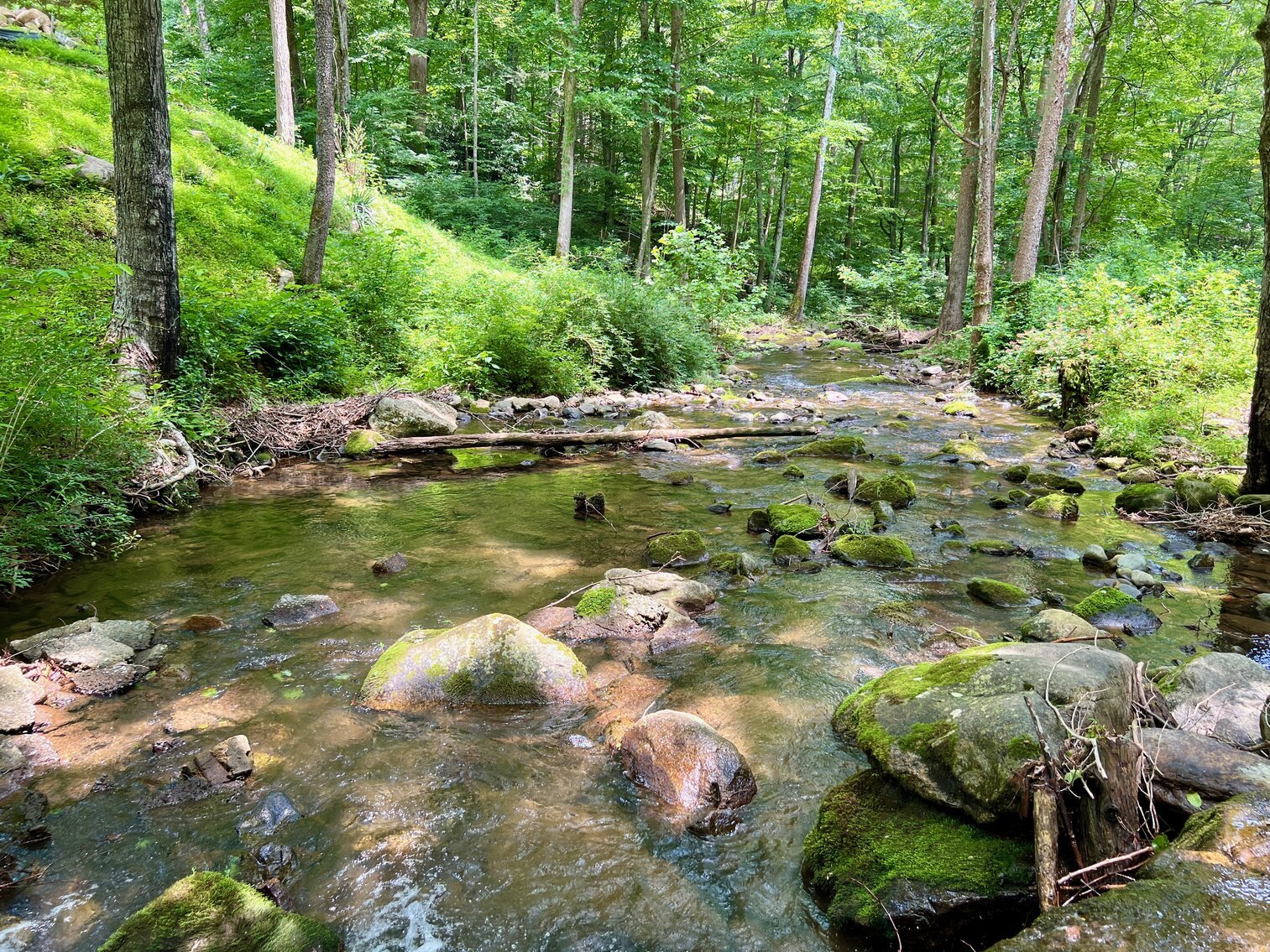 Image for Recently Renovated 3 BR/2 BA Home on 3 +/- Acres in Close Proximity to Shenandoah National Park, Old Rag Mountain, Graves Mountain Lodge & More!!  ONLINE ONLY BIDDING!!