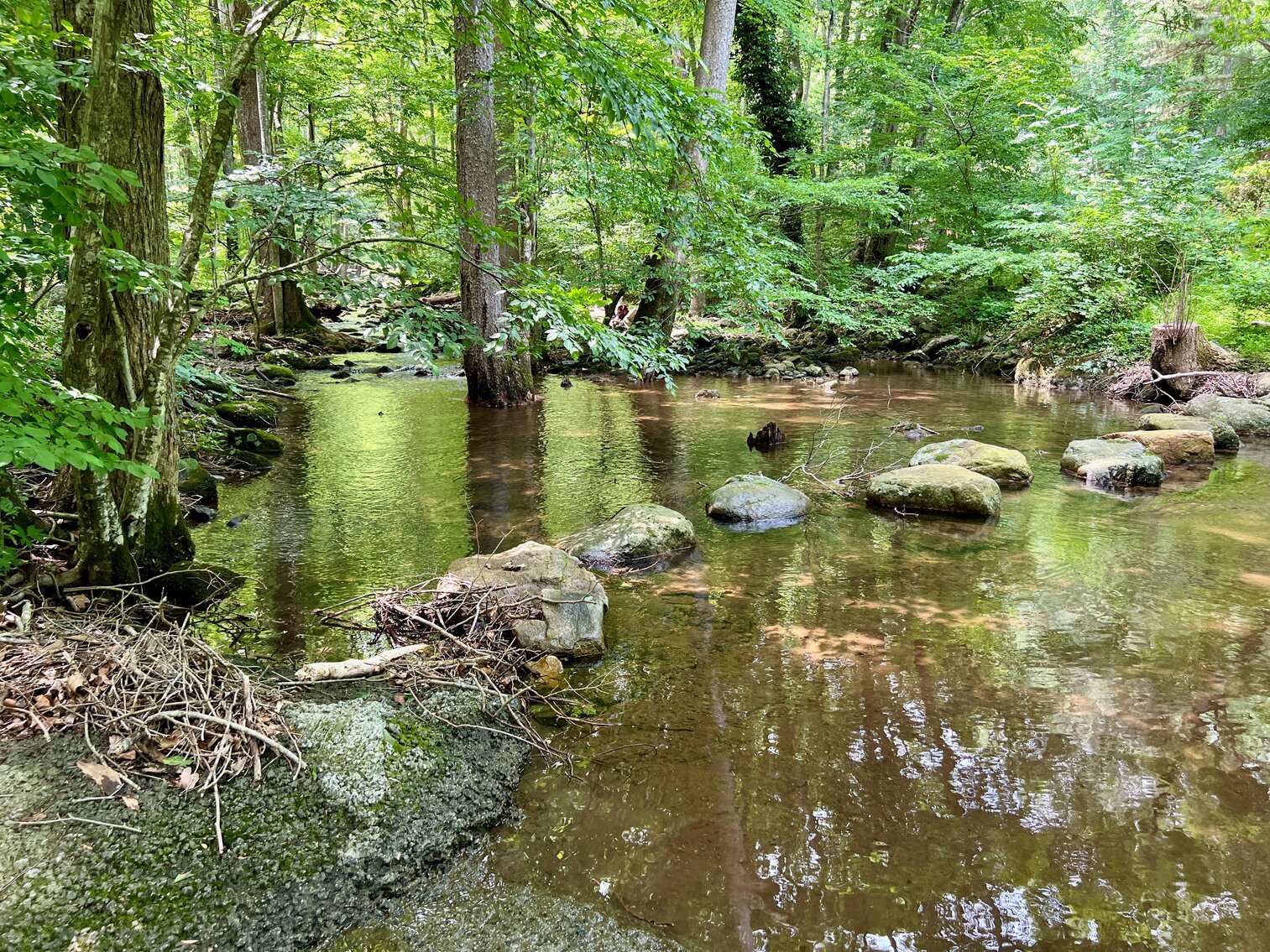 Image for Recently Renovated 3 BR/2 BA Home on 3 +/- Acres in Close Proximity to Shenandoah National Park, Old Rag Mountain, Graves Mountain Lodge & More!!  ONLINE ONLY BIDDING!!