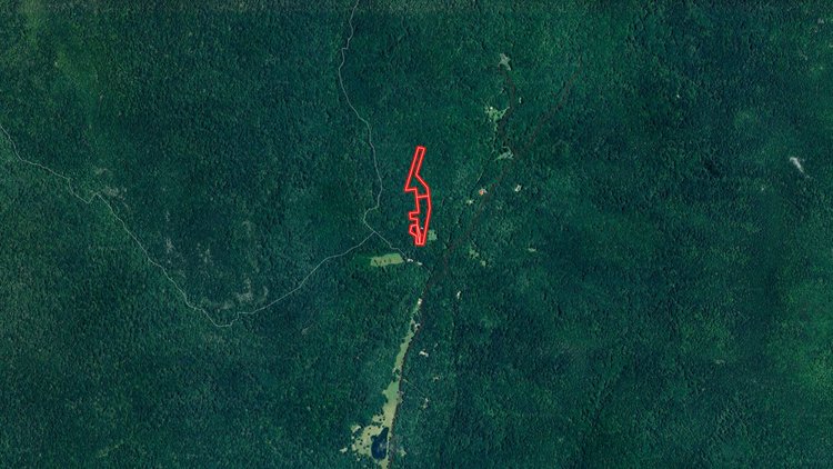 Image for 3.1 +/- Acre Wooded Building Lot w/Approved Drain Field Site Adjacent to Shenandoah National Park in Madison County, VA--ONLINE ONLY BIDDING!!