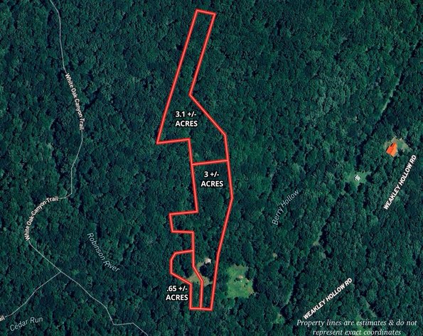 Image for 3.1 +/- Acre Wooded Building Lot w/Approved Drain Field Site Adjacent to Shenandoah National Park in Madison County, VA--ONLINE ONLY BIDDING!!