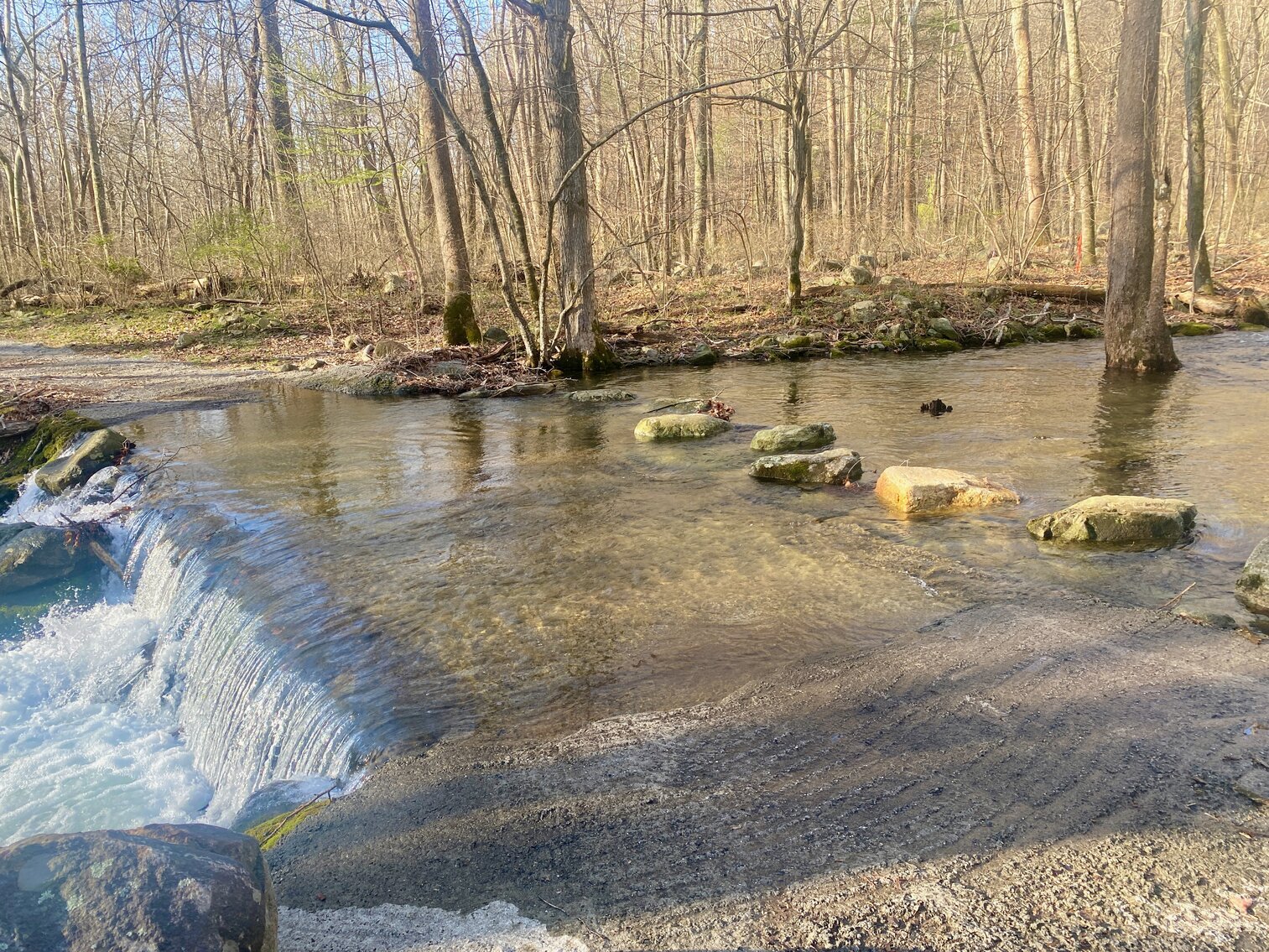 Image for Barn/Potential Residence w/Approved Drain Field Site on .64 +/- Acre Lot Near Shenandoah National Park in Madison County, VA--ONLINE ONLY BIDDING!!