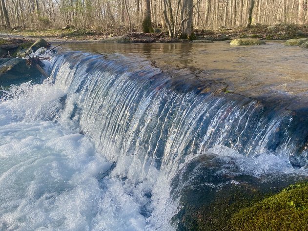 Image for Barn/Potential Residence w/Approved Drain Field Site on .64 +/- Acre Lot Near Shenandoah National Park in Madison County, VA--ONLINE ONLY BIDDING!!
