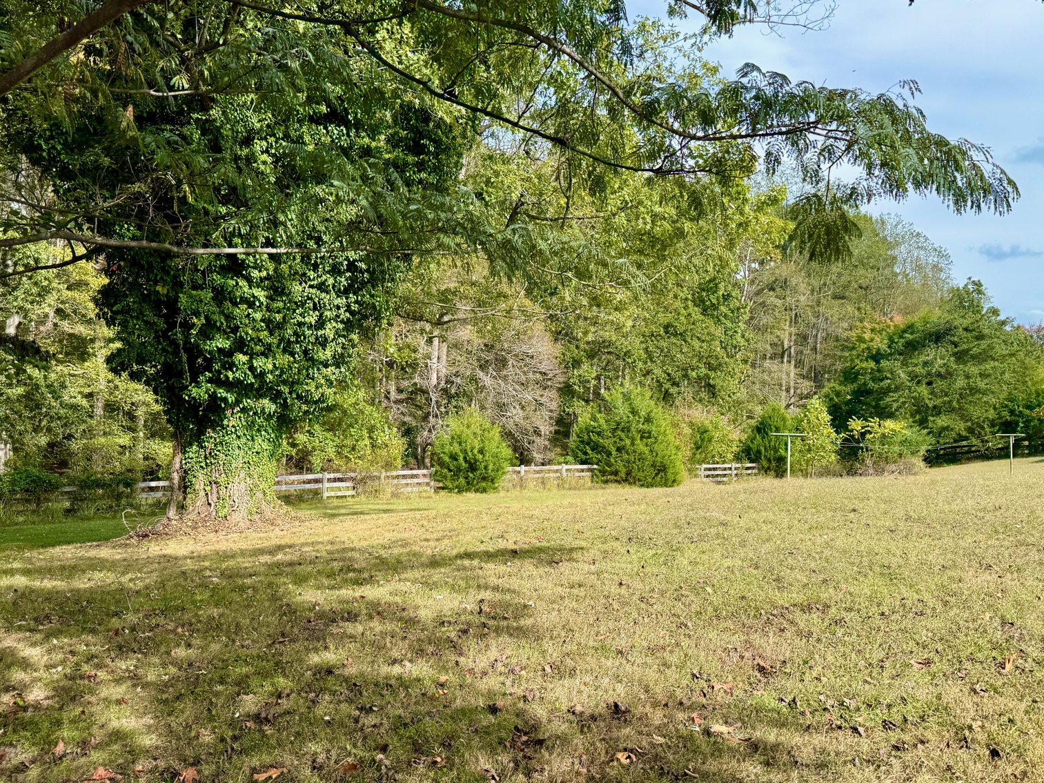 Image for 4 BR/2 BA Brick Ranch/Rambler Style Home w/Basement on 1.49 +/- Acres--Madison County, VA