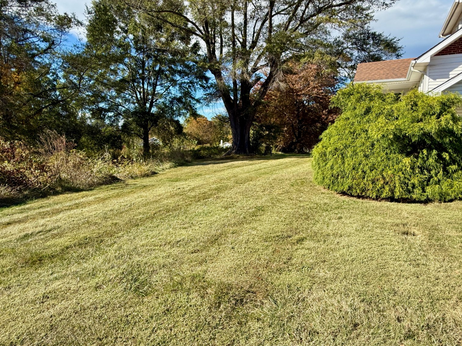 Image for Multi-Tenant Income Producing Property on 1.6 +/- Acres Fronting Rt. 33 in Greene County, VA