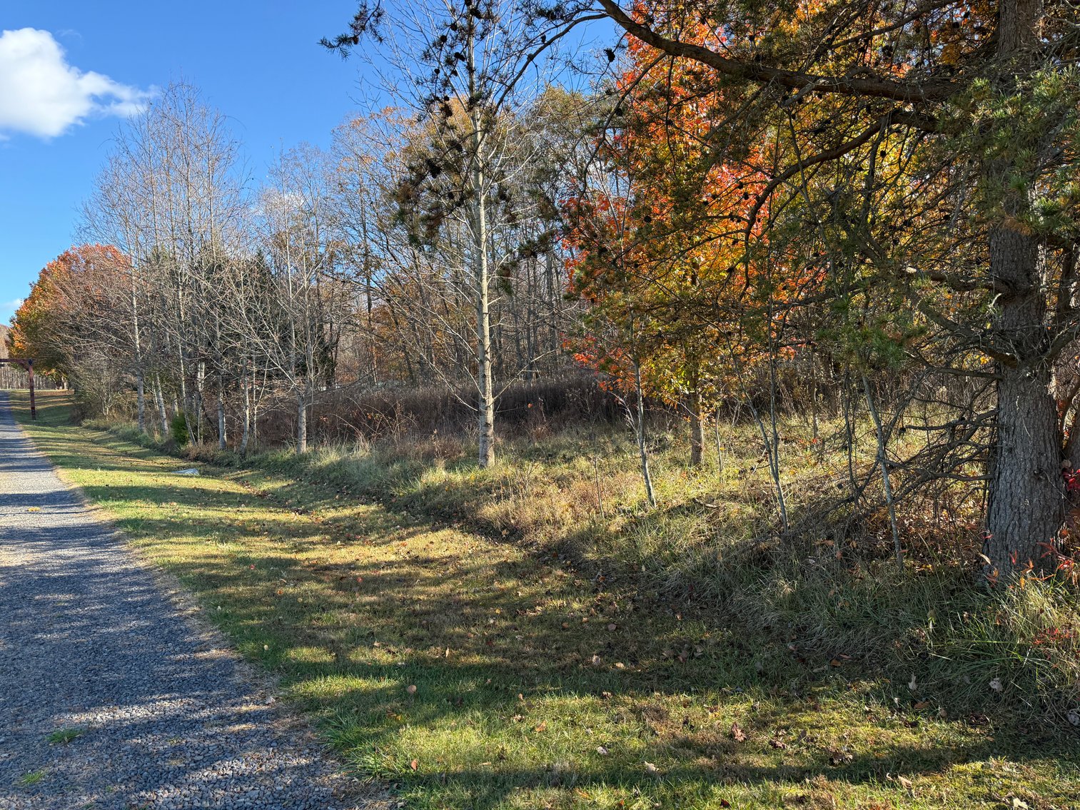 Image for 5.2 +/- Acre Mostly Wooded Building/Estate Lot in Orange County, VA--SELLING to the HIGHEST BIDDER via ONLINE ONLY BIDDING!!