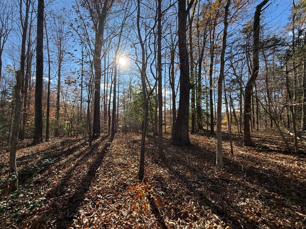 Image for 5.2 +/- Acre Mostly Wooded Building/Estate Lot in Orange County, VA--SELLING to the HIGHEST BIDDER via ONLINE ONLY BIDDING!!