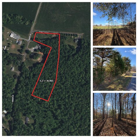 Image for 5.2 +/- Acre Mostly Wooded Building/Estate Lot in Orange County, VA--SELLING to the HIGHEST BIDDER via ONLINE ONLY BIDDING!!