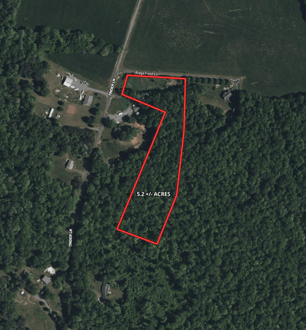 Image for 5.2 +/- Acre Mostly Wooded Building/Estate Lot in Orange County, VA--SELLING to the HIGHEST BIDDER via ONLINE ONLY BIDDING!!