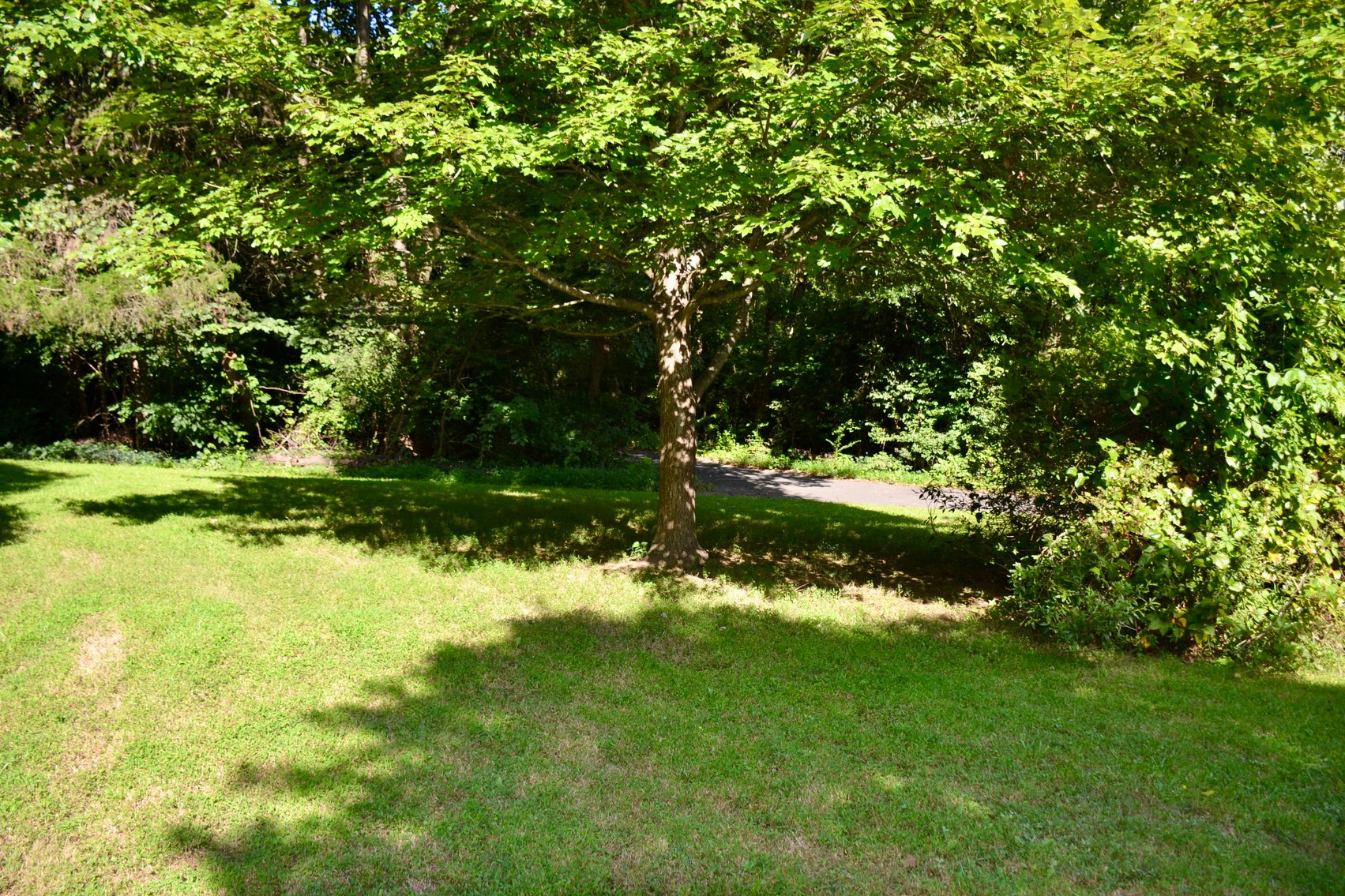 Image for 4 BR/2.5 BA Home in Fairfax County Minutes From Dulles Airport & Metro