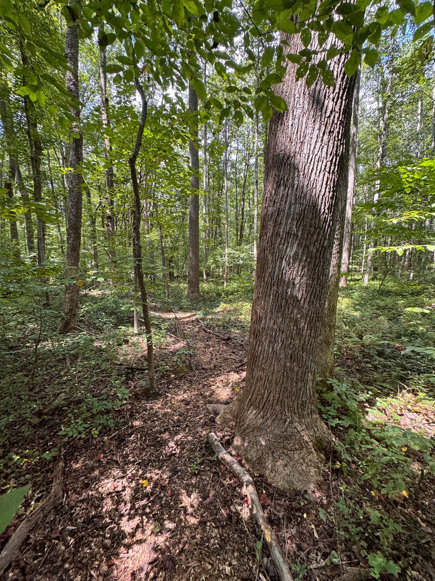 Image for 3 BR/2 BA Home w/Finished Walk-Out Basement & 2 Large Detached Garages on 2 +/- Acres--Fauquier County, VA