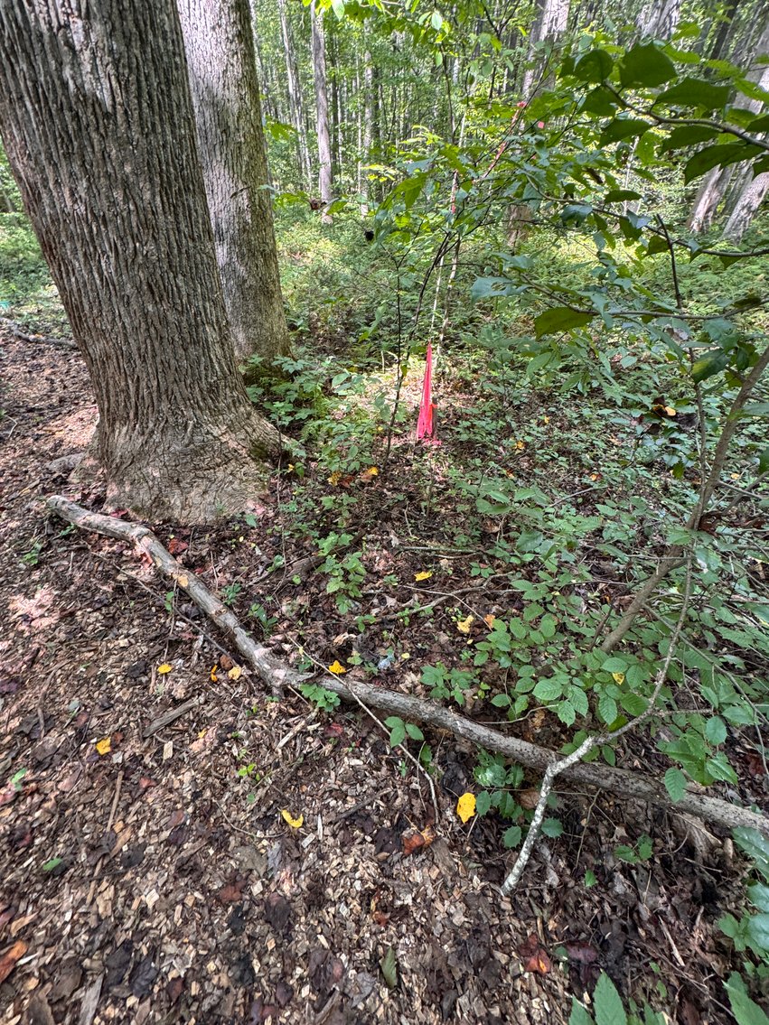 Image for 3 BR/2 BA Home w/Finished Walk-Out Basement & 2 Large Detached Garages on 2 +/- Acres--Fauquier County, VA