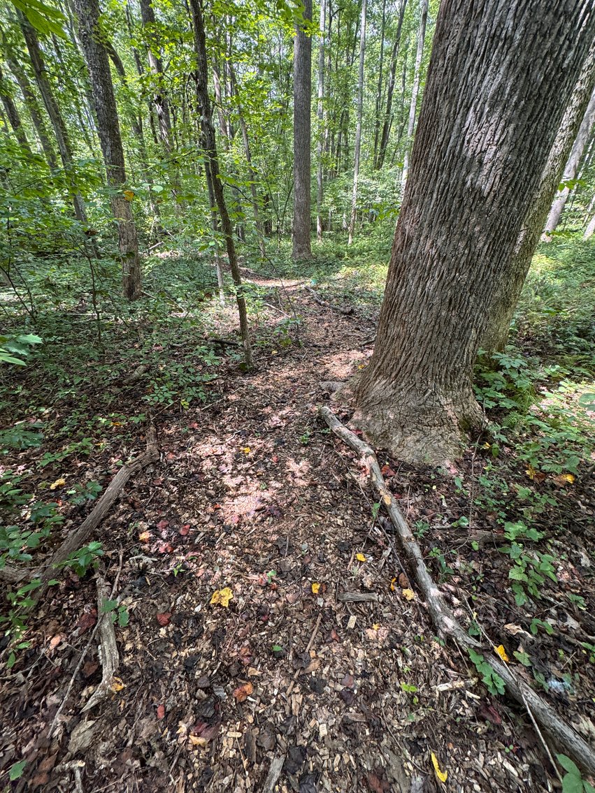 Image for 3 BR/2 BA Home w/Finished Walk-Out Basement & 2 Large Detached Garages on 2 +/- Acres--Fauquier County, VA