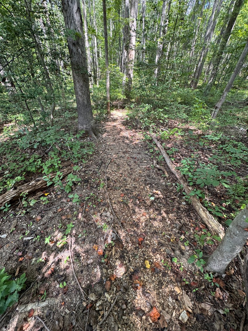 Image for 3 BR/2 BA Home w/Finished Walk-Out Basement & 2 Large Detached Garages on 2 +/- Acres--Fauquier County, VA