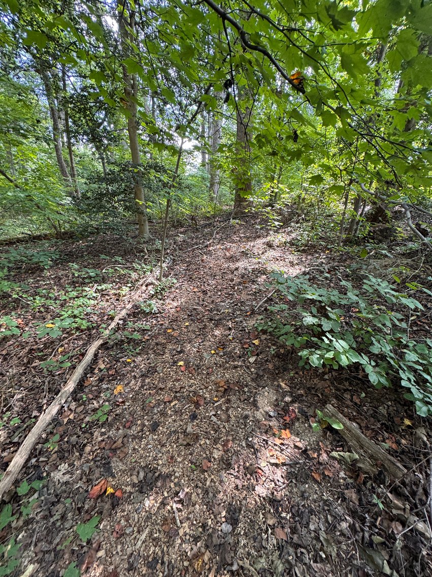 Image for 3 BR/2 BA Home w/Finished Walk-Out Basement & 2 Large Detached Garages on 2 +/- Acres--Fauquier County, VA