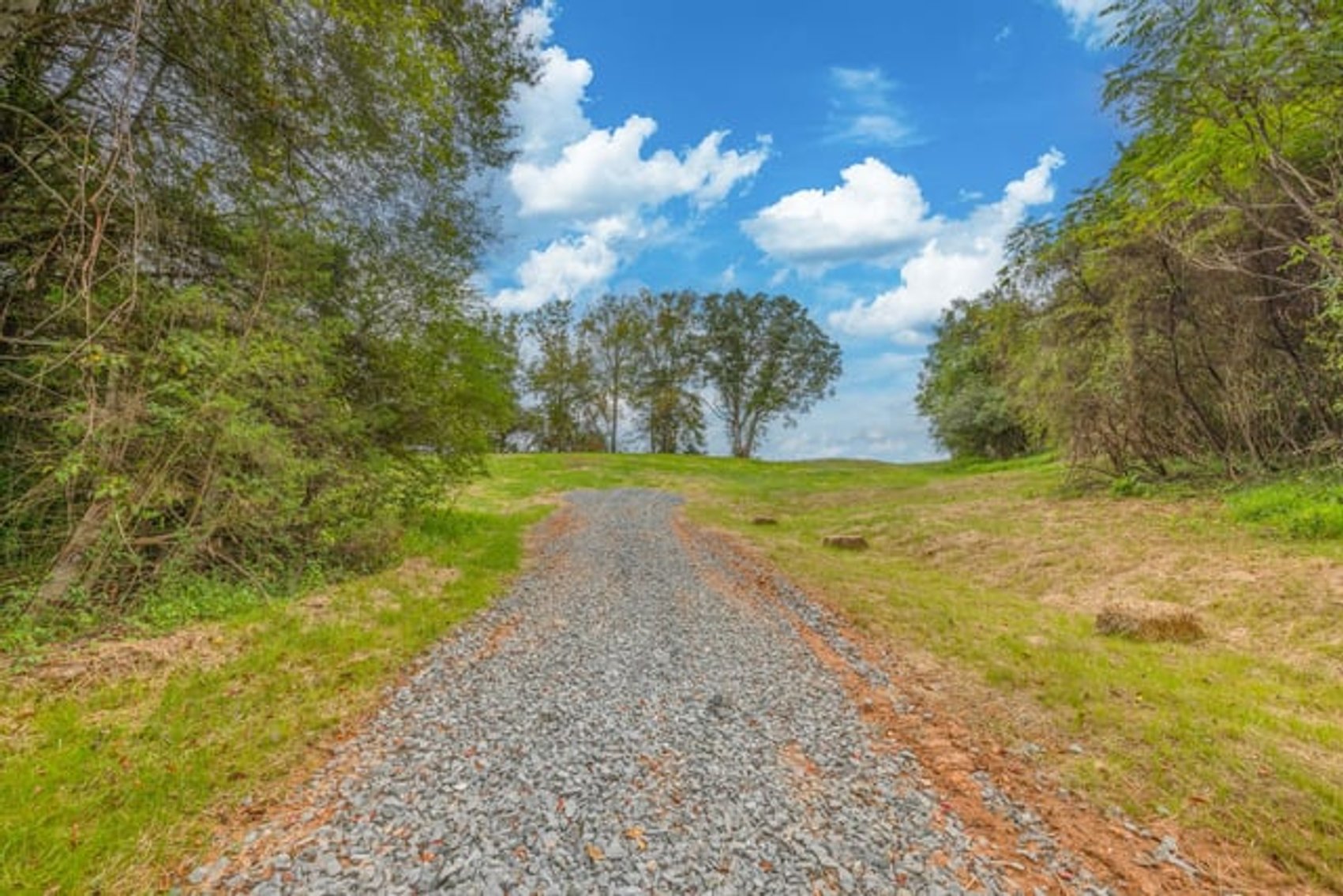 Image for 2 +/- Acre Madison County, VA Building Lot w/Approved Septic & Well Permits--ONLINE ONLY BIDDING!!