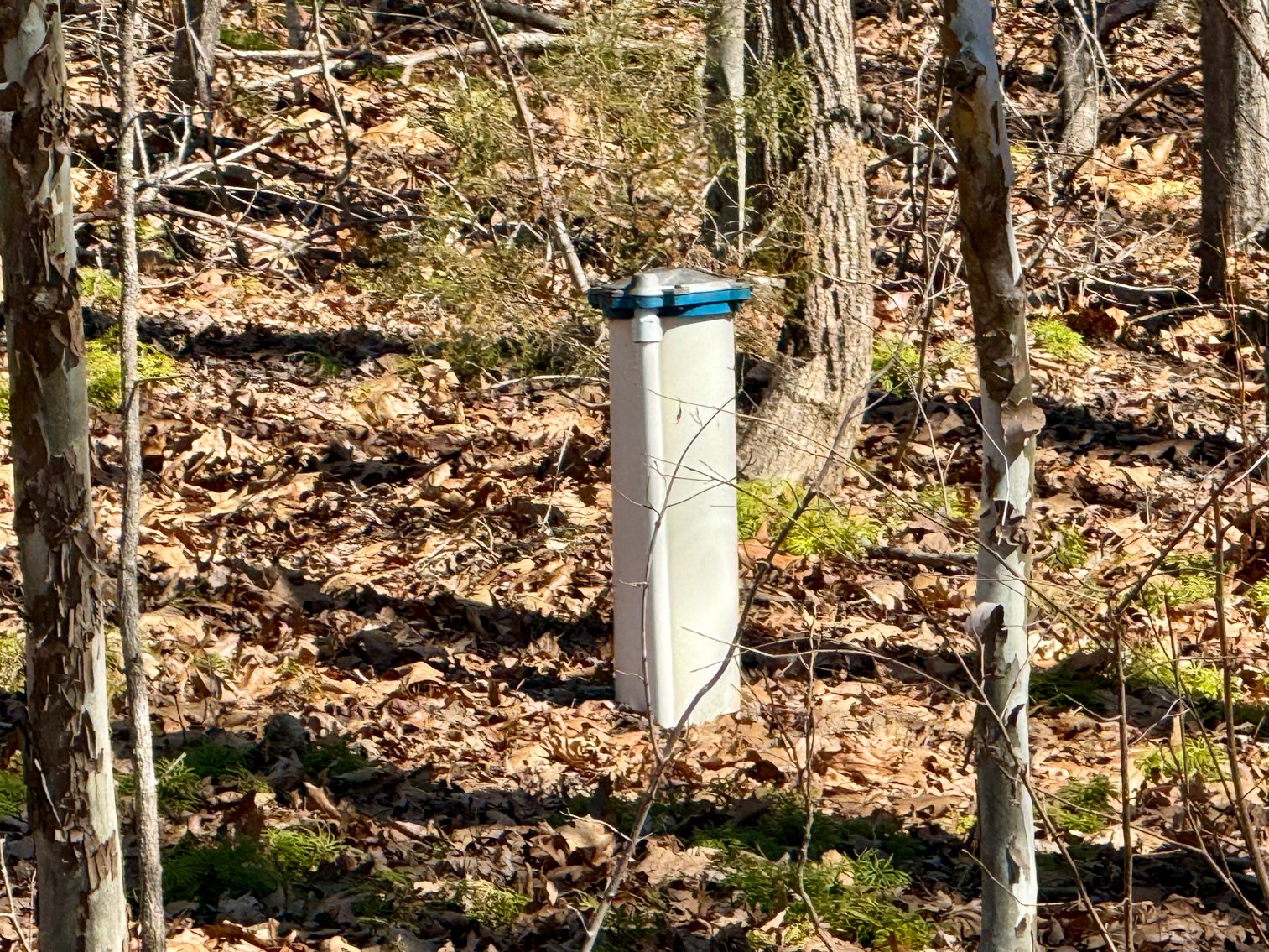 Image for 4 BR/3 BA Custom Built Home w/Basement on 5.2 +/- Acres in Madison County, VA