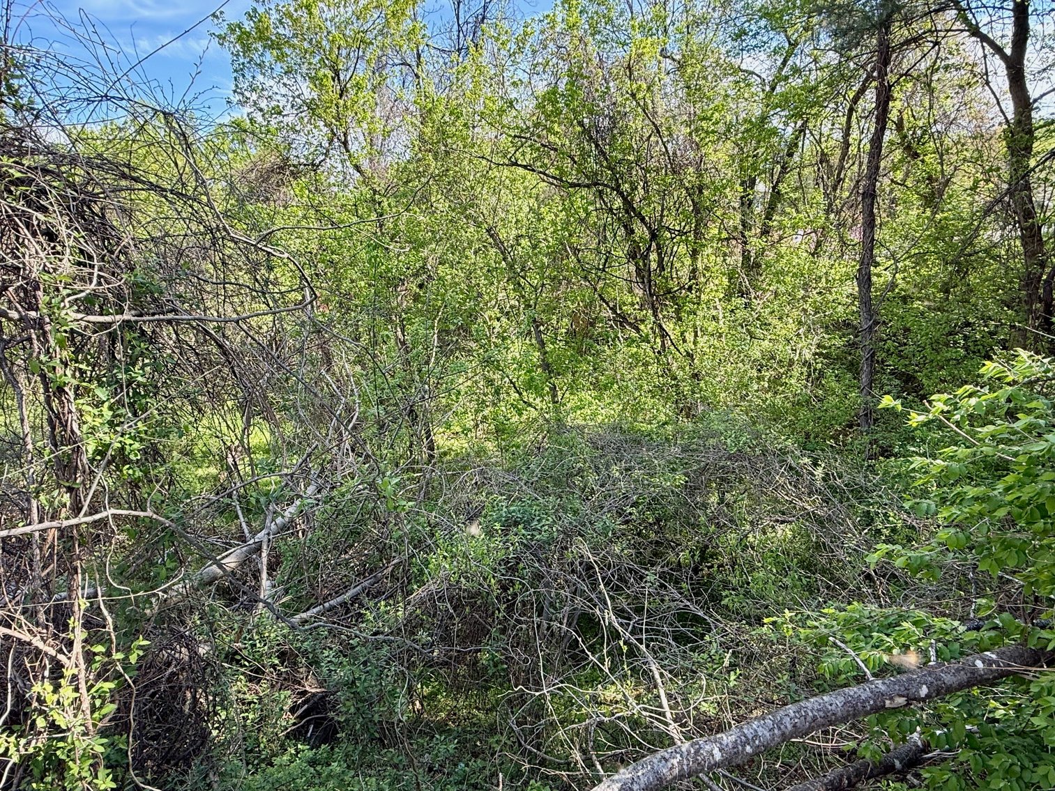 Image for 2.1 +/- Acre Wooded Corner Building Lot in Loudoun County, VA