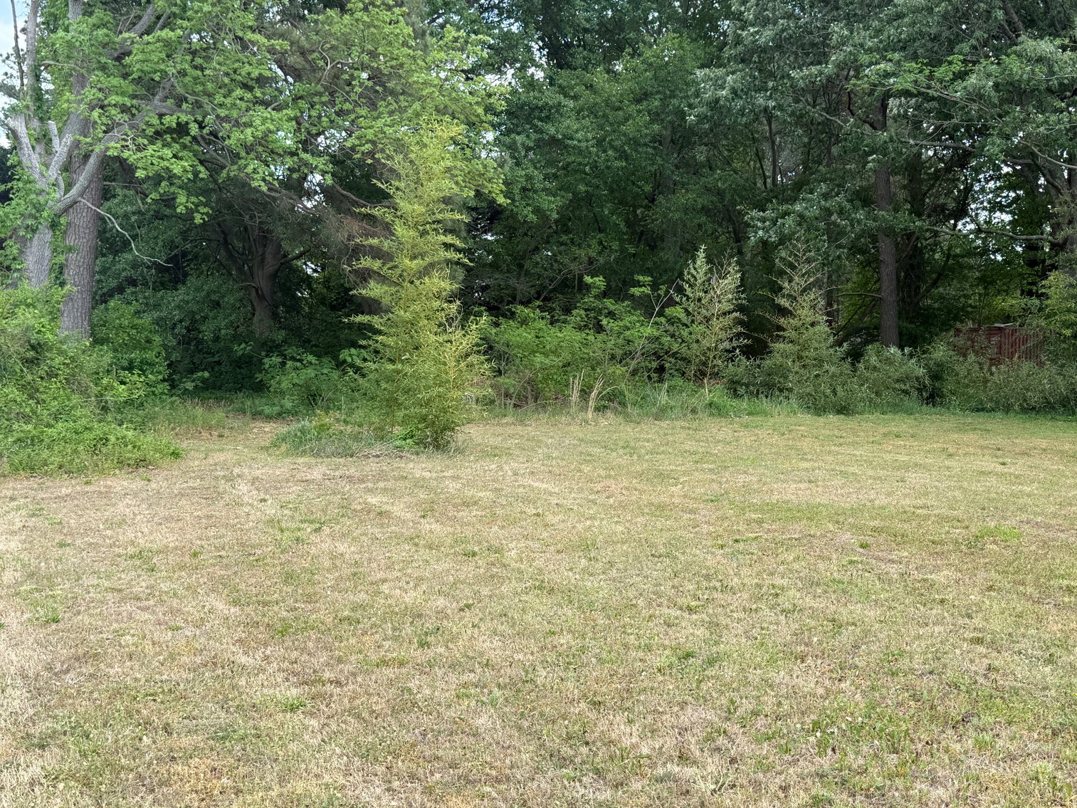 Image for 4 BR Restoration Project Home on 1.29 +/- Acres in Gloucester County, VA--ONLINE ONLY BIDDING!!