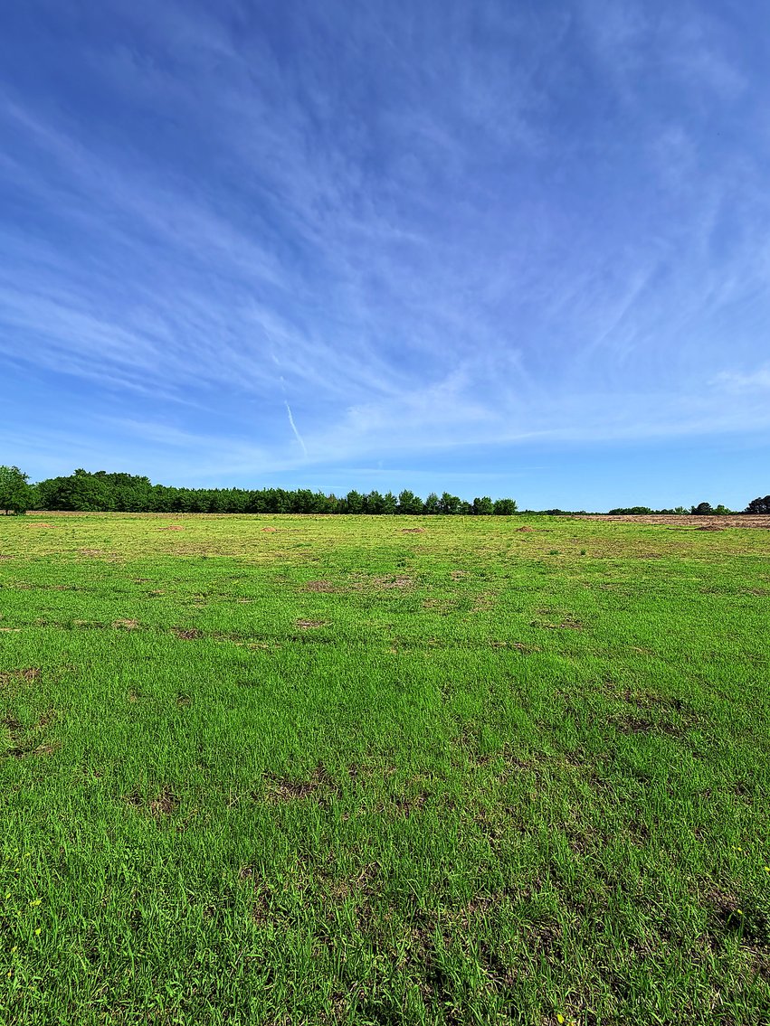 Image for LIVE AUCTION ONLY! 10.44 Acres sold in 6 tracts Shannon Rd, Ardmore Alabama