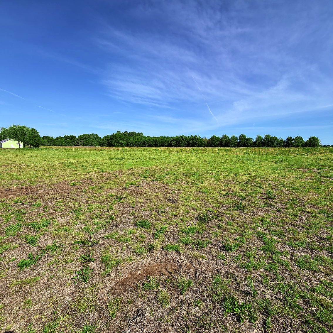 Image for LIVE AUCTION ONLY! 10.44 Acres sold in 6 tracts Shannon Rd, Ardmore Alabama