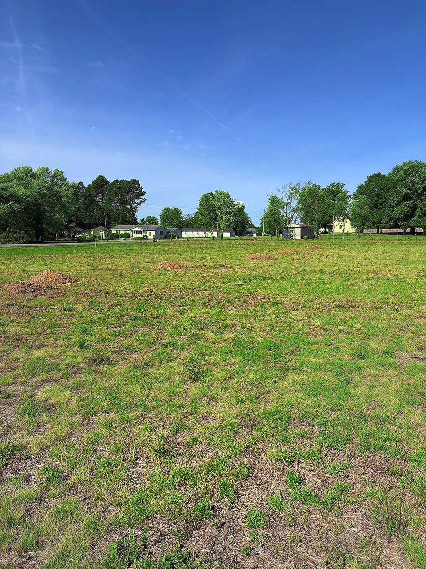Image for LIVE AUCTION ONLY! 10.44 Acres sold in 6 tracts Shannon Rd, Ardmore Alabama