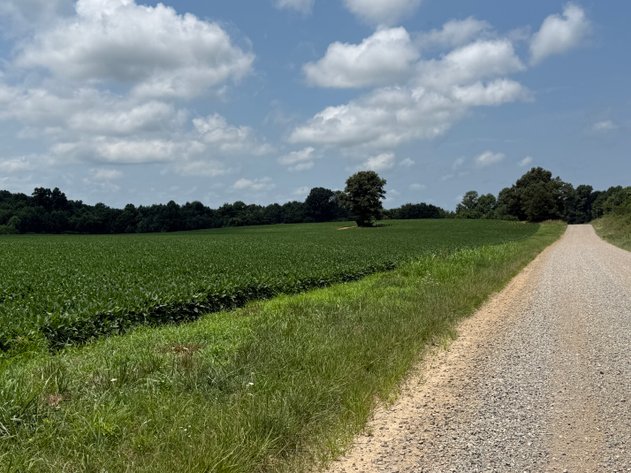 Image for 230 ACRES FARMLAND CROCKETT ARKANSAS