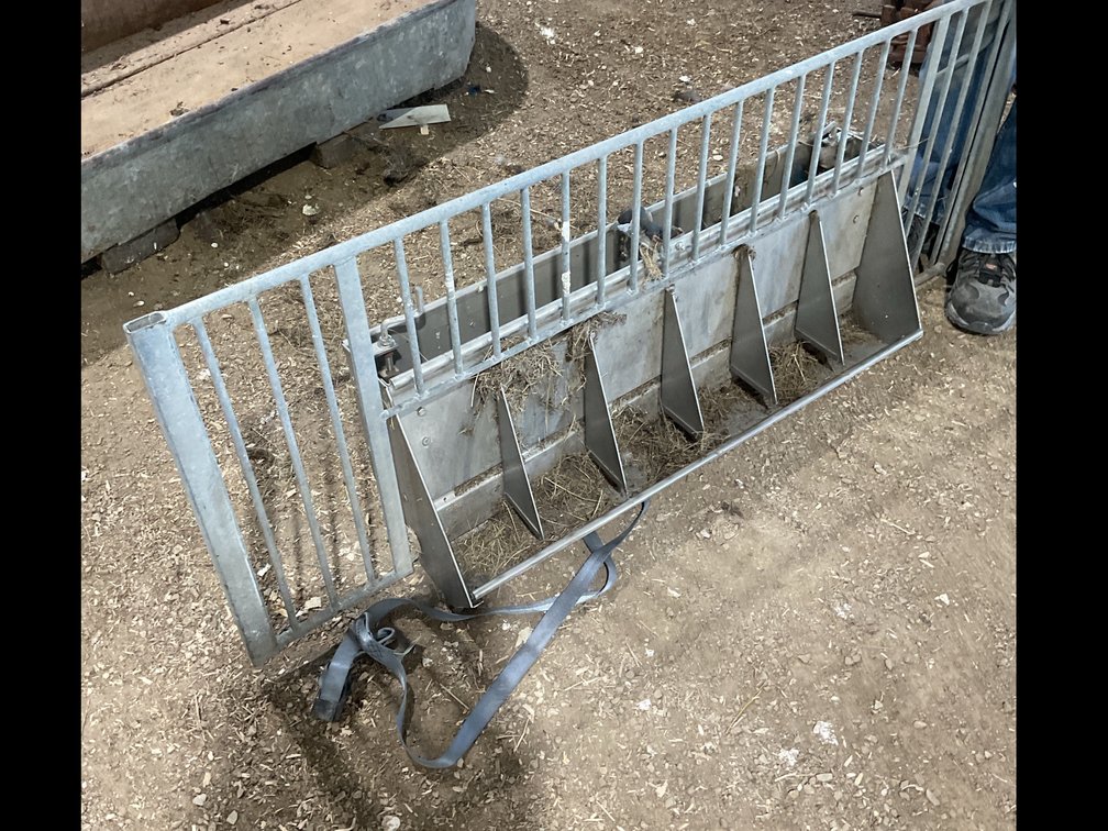 Pig feeder