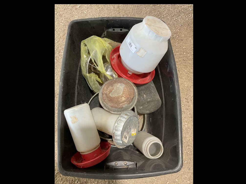 Chicken waters and feeders
