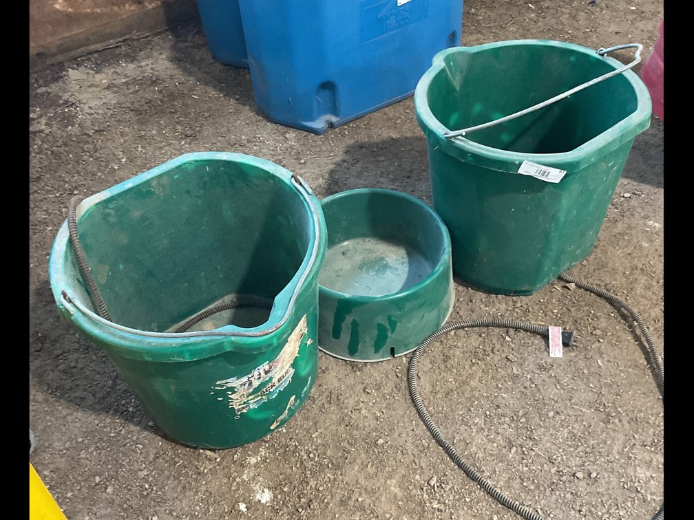 (2) heated buckets and heated dog bowl