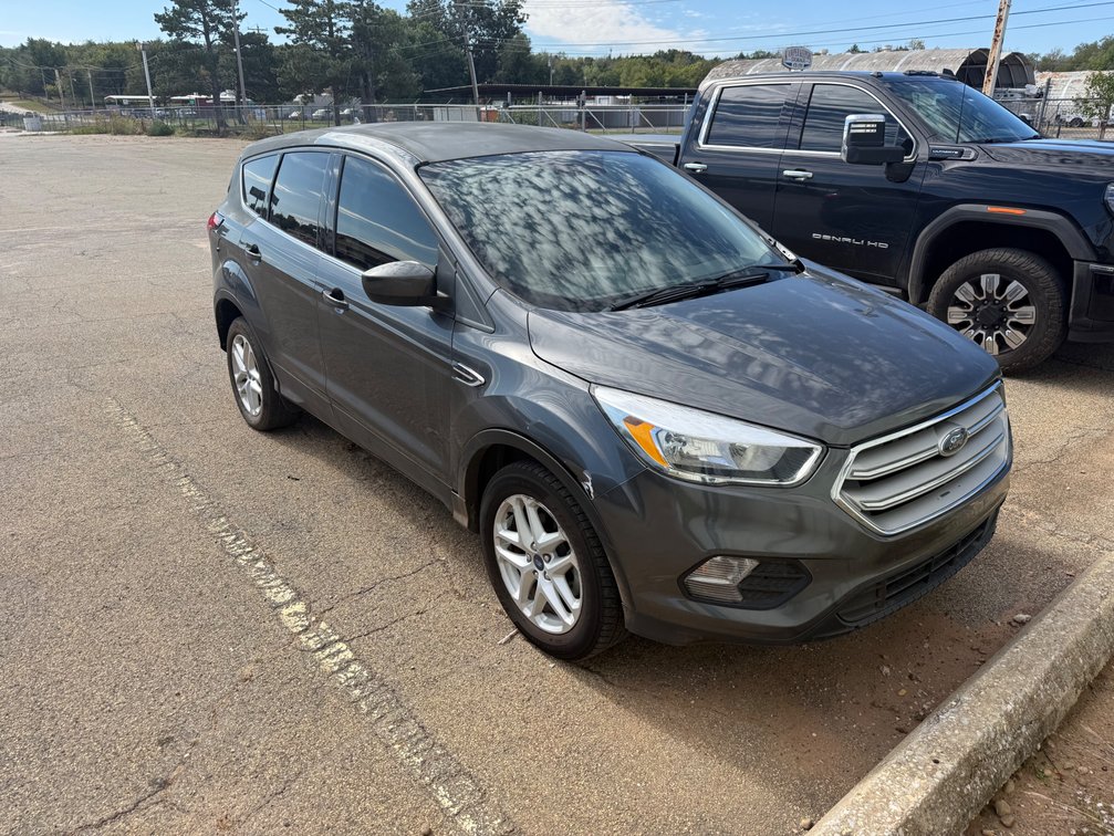 2019 Ford Escape Multipurpose Vehicle (MPV)
