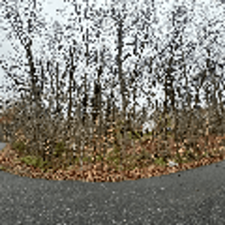 Image for Spotsylvania County, VA Sale of Tax Delinquent Real Estate