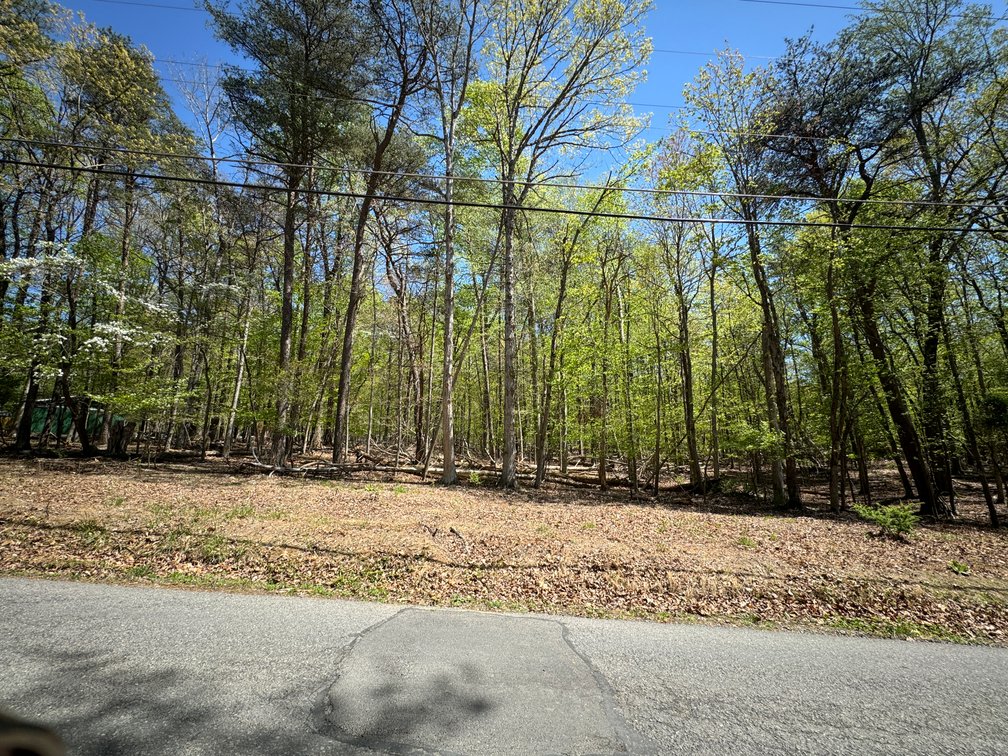 Image for Clarke County, VA Sale of Tax Delinquent Real Estate