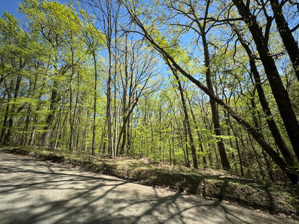 Image for Clarke County, VA Sale of Tax Delinquent Real Estate