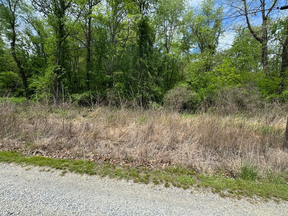 Image for Town of Pulaski, VA Sale of Tax Delinquent Real Estate