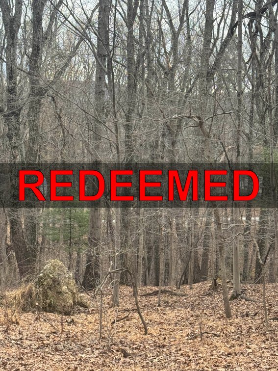 Image for Clarke County, VA Sale of Tax Delinquent Real Estate