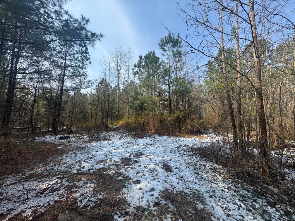 William Washington, Courthouse District; 1472 Mt Olive-Cohoke Rd; ADJ Langbourne; 17.0 acres, more or less, Tax Map ID 44-48