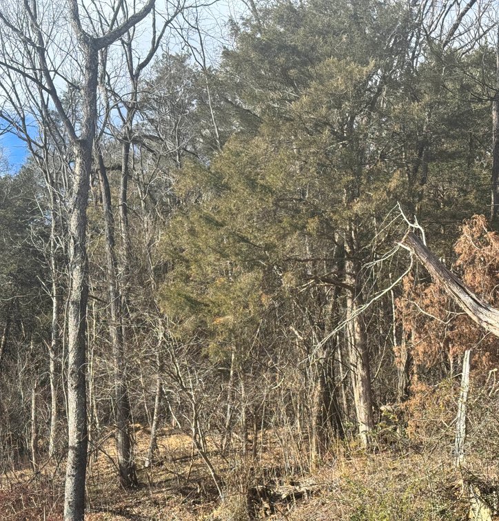 John William Davis, Mangohick District; 144 Peyton Ln; ADJ Berry; unk acreage, Tax Map ID 7-31C