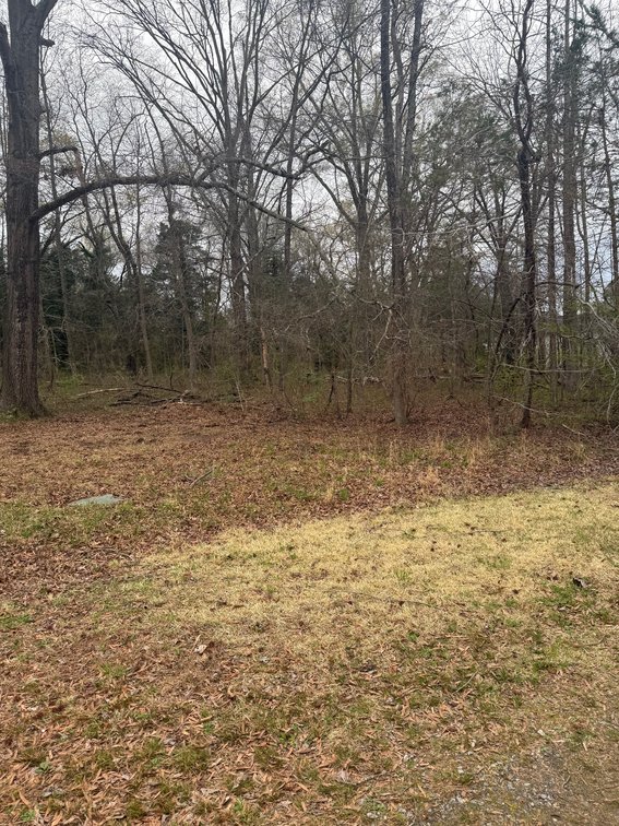 Washington, 0.19 acres, more or less, Lot 18, Block 3, Subdivision of Richard Bumbrey, on Opal Lane; Tax Map 37B-1-3-18